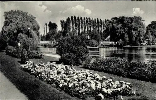 Ak Uetersen in Holstein, Rosarium