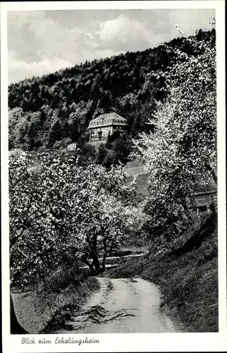 Ak Hettigenbeuern Buchen im Odenwald, Blick zum Erholungsheim Diedrich