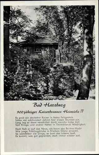 Ak Bad Harzburg am Harz, Kaiserbrunnen Heinrichs IV