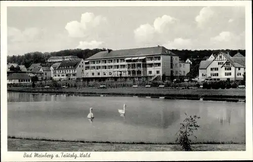 Ak Bad Meinberg am Teutoburger Wald, Schwäne auf dem See, Häuser