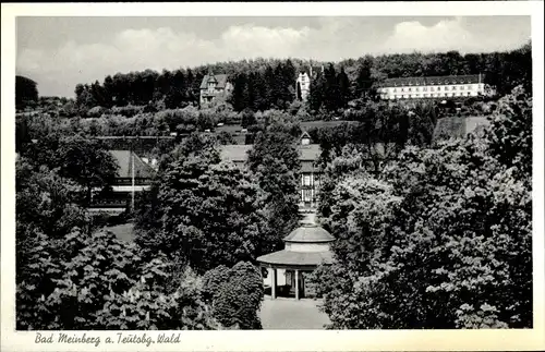 Ak Bad Meinberg am Teutoburger Wald, Teilansicht