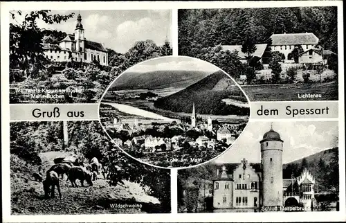 Ak Lohr am Main Unterfranken, Ort, Kapuzinerkloster, Lichtenau, Schloss Mespelbrunn, Wildschweine