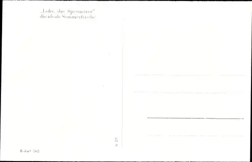 Ak Lohr am Main Unterfranken, Ort, Kapuzinerkloster, Lichtenau, Schloss Mespelbrunn, Wildschweine