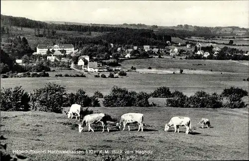 Ak Ilbeshausen Hochwaldhausen Grebenhain Hessen, Panorama, Kühe auf der Weide