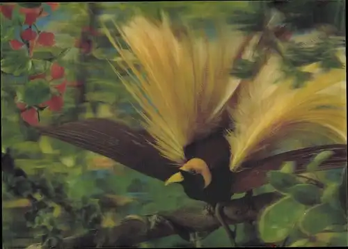 3-D Ak A Bird of Paradise, gelber Paradiesvogel auf einem Ast, Blüten, Blätter, ausgebreitete Flügel