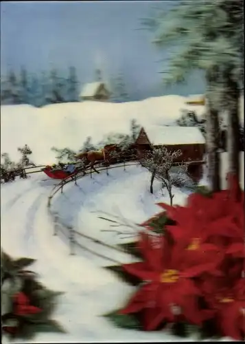 3-D Ak Winterszene, Poinsettia & Sledge, Weihnachtssterne