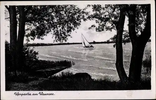 Ak Berlin Zehlendorf Wannsee, Uferpartie am Wannsee, Segelboot