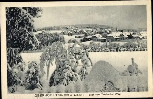 Ak Oberhof im Thüringer Wald, Blick vom Tambacher Weg, Winteransicht