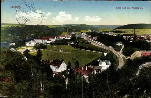 Ak Leisnig in Sachsen, Muldental, Gesamtansicht