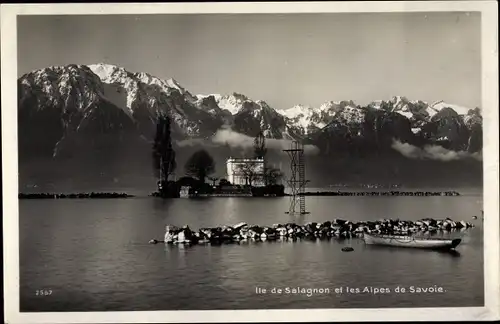 Ak Montreux Kt. Waadt Schweiz, Ile de Salagnon et les Alpes de Savoie