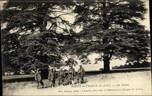 Ak Roissy en France Val d’Oise, Les Cedres, Soldaten bei den Zedern