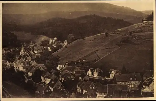 Ak Bad Grund im Harz, Teilansicht, Vogelschau