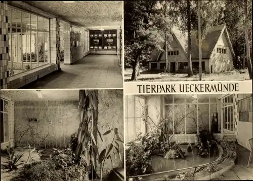 Ak Ueckermünde in Mecklenburg Vorpommern, Tierpark, Vivarium
