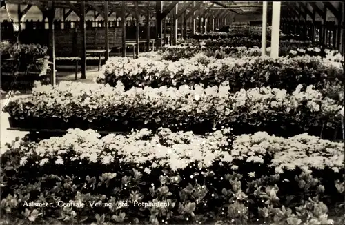 Ak Aalsmeer Nordholland Niederlande, Centrale Veiling