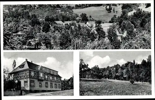 Ak Winkel Lindenfels im Odenwald Hessen, Gasthaus zum Wiesengrunde, Totalansicht