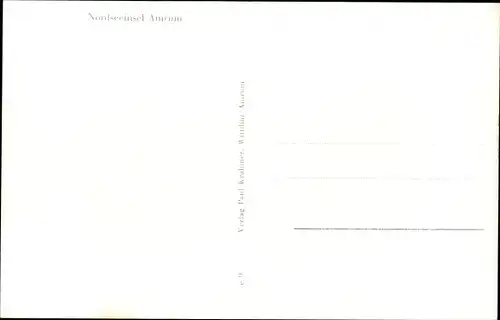 Landkarten Ak Insel Amrum in Nordfriesland, Norddorf, Nebel, Wittdün, Kniepsand, Inselbahn