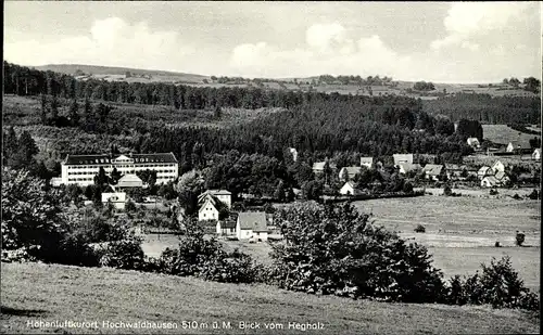 Ak Ilbeshausen Hochwaldhausen Grebenhain Hessen, Blick vom Hegholz auf den Ort