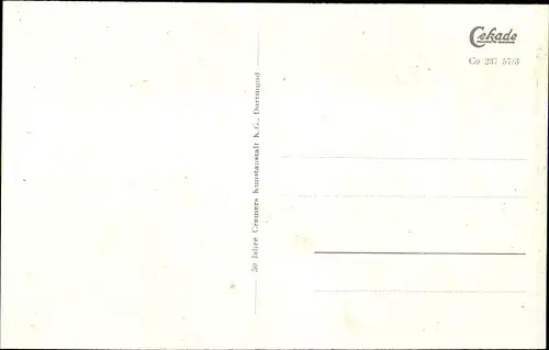 Ak Cochem an der Mosel, Vogelschau, Panorama