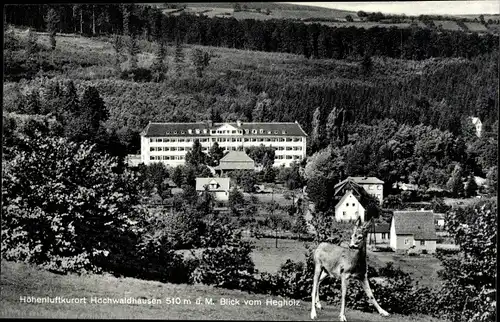 Ak Hochwaldhausen Grebenhain Hessen, Panorama, Genesungsheim