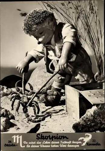 Ak Mecki der Igel, Sternzeichen Skorpion, Scorpio, 24. Oktober bis 22. November
