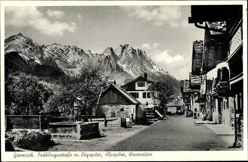 Ak Garmisch Partenkirchen in Oberbayern, Frühlingsstraße m. Zugspitze, Alpspitze, Waxenstein