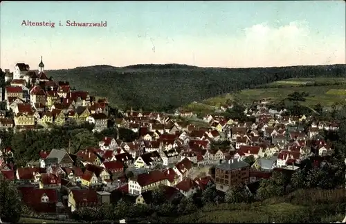 Ak Altensteig Schwarzwald, Gesamtansicht