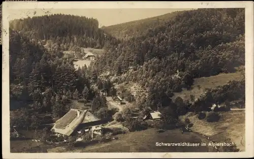 Ak Alpirsbach im Schwarzwald, Schwarzwaldhäuser, Wald