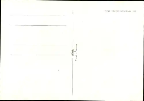 Ak Terrier auf einer Bank, Hundeportrait