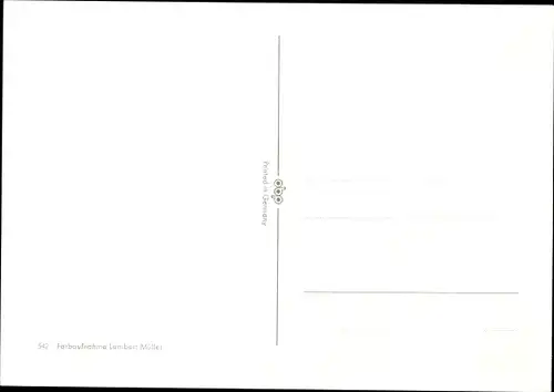 Ak Hundeportrait, Hundewelpe