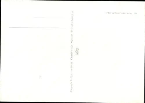 Ak Hundeportrait, Chow Chow