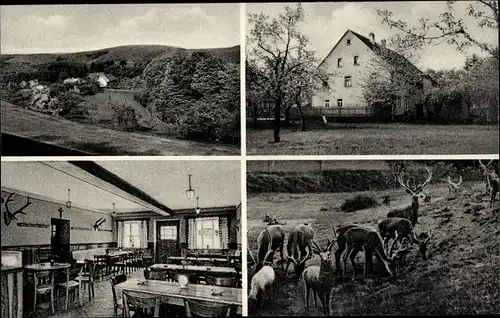 Ak Hundsrück Dammbach im Spessart, Gasthaus, Inh. Jos. Hubert, Hirsche