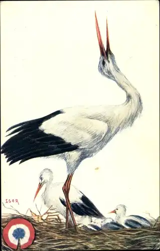 Künstler Ak Igor, Cigognes d'Alsace, Elsässer Störche, Kokarde