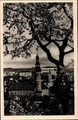 Ak Domažlice Taus Region Pilsen, Teilansicht