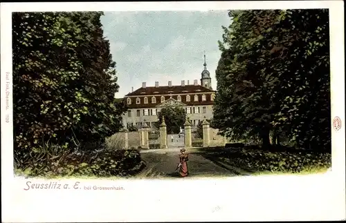 Ak Seußlitz Nünchritz an der Elbe, Schloss