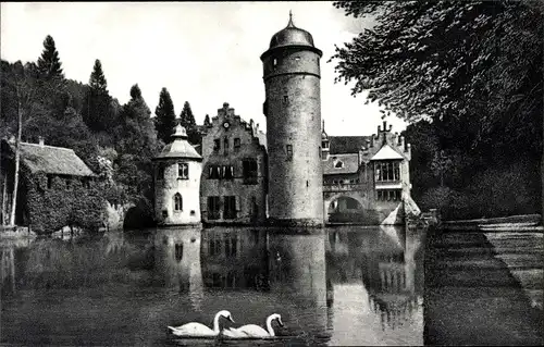 Ak Mespelbrunn im Spessart Unterfranken, Schloss, Schwäne