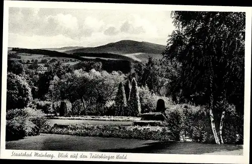 Ak Bad Meinberg am Teutoburger Wald, Landschaft, Wald