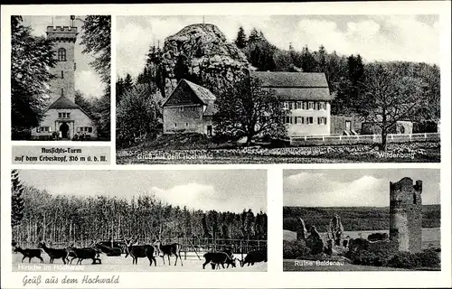 Ak Hilscheid in Rheinland Pfalz, Aussichtsturm auf dem Erbeskopf, Hochwald, Ruine Baldenau