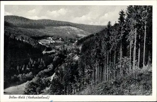 Ak Wald Brilon im Sauerland, Panorama