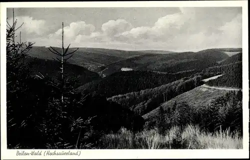 Ak Wald Brilon im Sauerland, Panorama