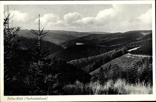 Ak Wald Brilon im Sauerland, Panorama