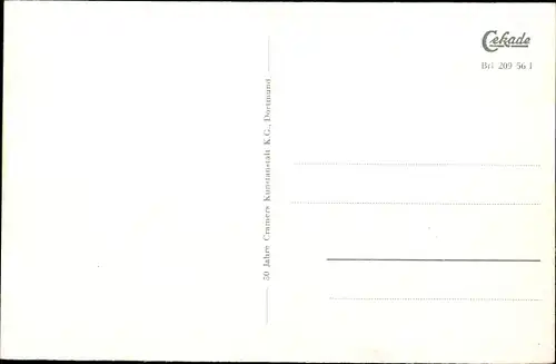 Ak Wald Brilon im Sauerland, Panorama