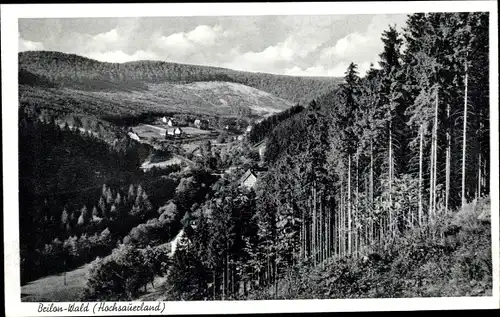 Ak Wald Brilon im Sauerland, Panorama