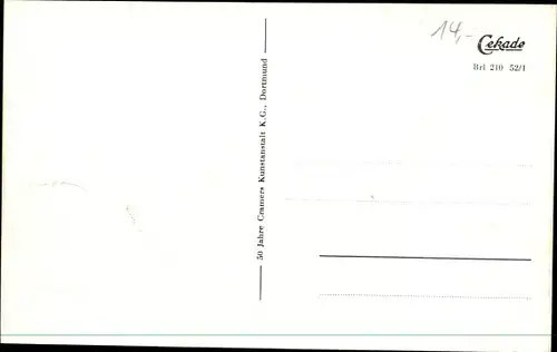 Ak Wald Brilon im Sauerland, Panorama