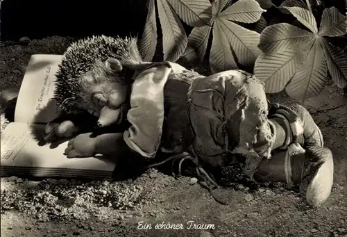 Ak Mecki der Igel, Ein schöner Traum