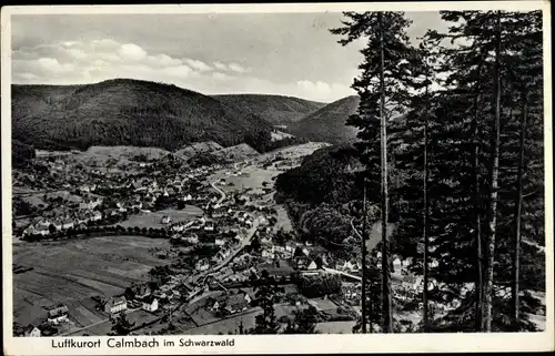 Ak Calmbach Bad Wildbad im Schwarzwald, Ort mit Umgebung