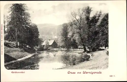Ak Wernigerode am Harz, Partie im Christianental