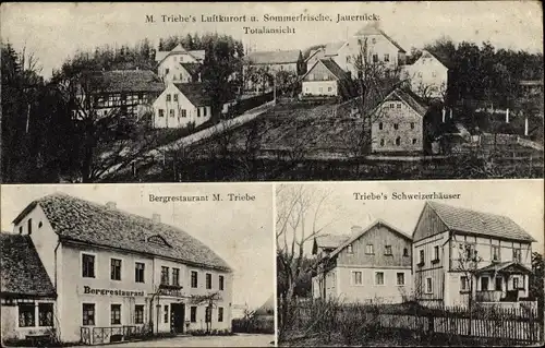 Ak Jauernick Buschbach Markersdorf Oberlausitz,M. Triebe's Luftkurort,Bergrestaurant,Schweizerhäuser