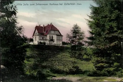 Ak Clausthal Zellerfeld im Oberharz, Villa Julia zum Johanneser Kurhaus