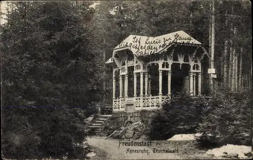 Ak Freudenstadt im Nordschwarzwald, Agnesruhe, Teuchelwald