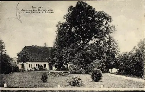 Ak Nowostrojewo Trempen Kaliningrad Obl. Königsberg Ostpreußen, Aennchen v. Tharau's Linde, Pfarrhof